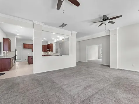 38 Palmero Way Manvel TX 77578