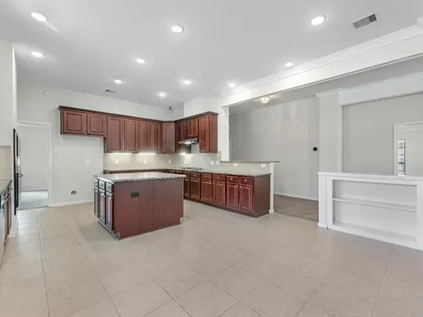 38 Palmero Way Manvel TX 77578