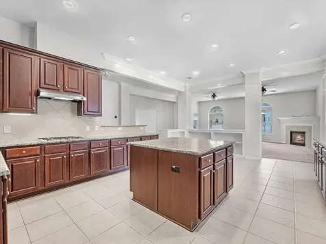 38 Palmero Way Manvel TX 77578