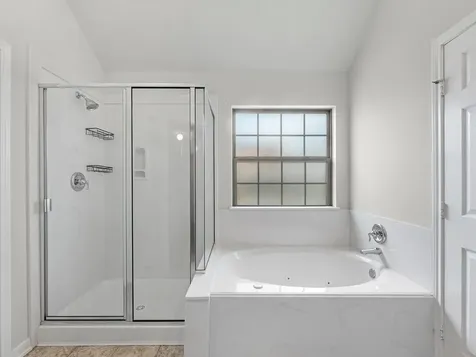 38 Palmero Way Manvel TX 77578