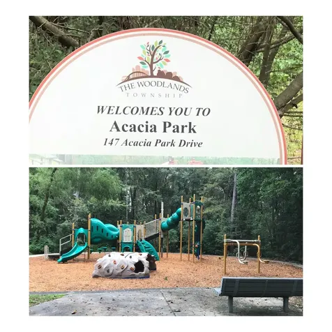 3 S Acacia Park Circle The Woodlands TX 77382