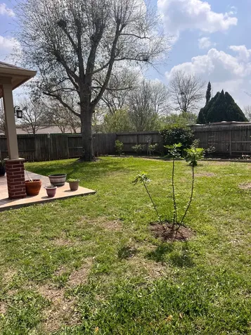 1142 Knoll Crest Court Sugar Land TX 77479