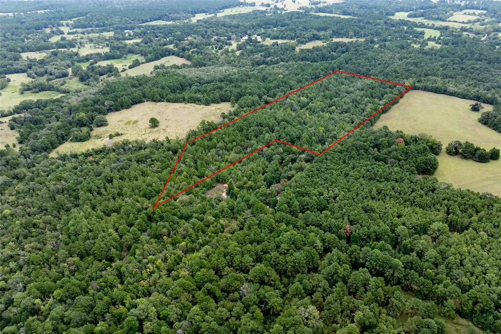 22 Acr Private Road 5040 Grapeland TX 75844