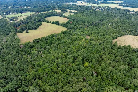 22 Acr Private Road 5040 Grapeland TX 75844
