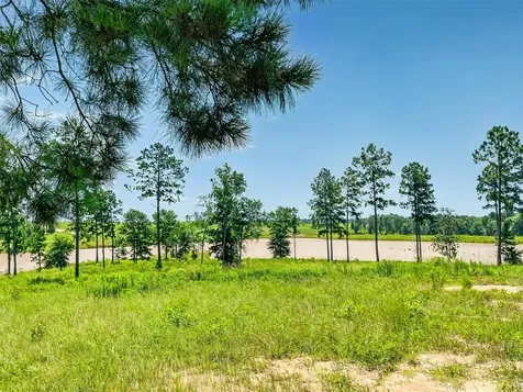 0 Quail Alley Circle Livingston TX 77351
