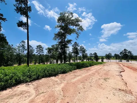 0 Quail Alley Circle Livingston TX 77351