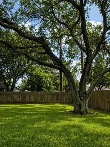 309 Meadow Wood Court League City TX 77573
