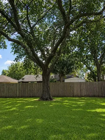 309 Meadow Wood Court League City TX 77573