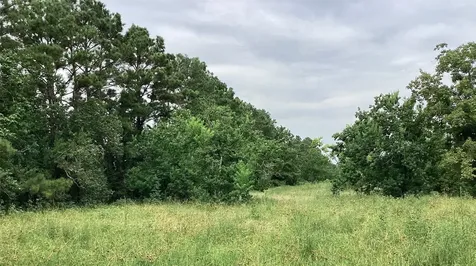 0 County Road 758 Rosharon TX 77583