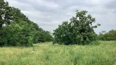 0 County Road 758 Rosharon TX 77583