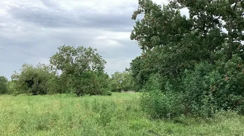 0 County Road 758 Rosharon TX 77583