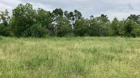 0 County Road 758 Rosharon TX 77583