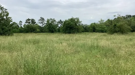 0 County Road 758 Rosharon TX 77583
