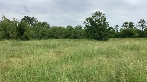 0 County Road 758 Rosharon TX 77583