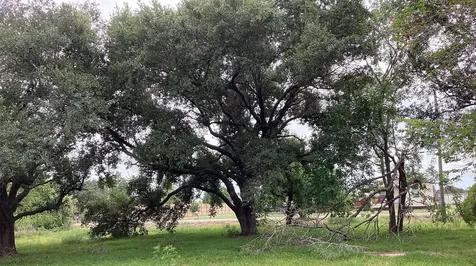 0 County Road 758 Rosharon TX 77583