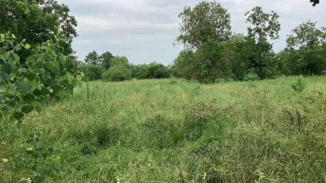 0 County Road 758 Rosharon TX 77583