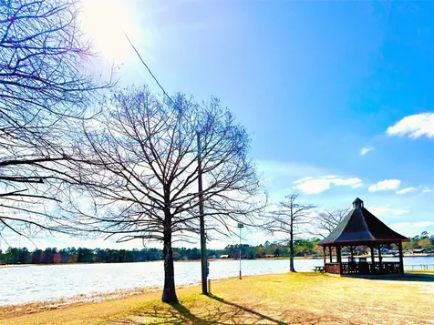 104 Sweet Gum Village Mills TX 77663