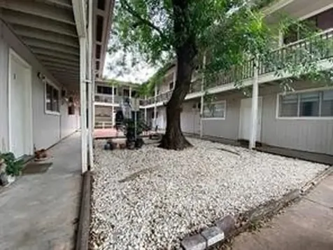 205 Avondale Street 5 Houston TX 77006