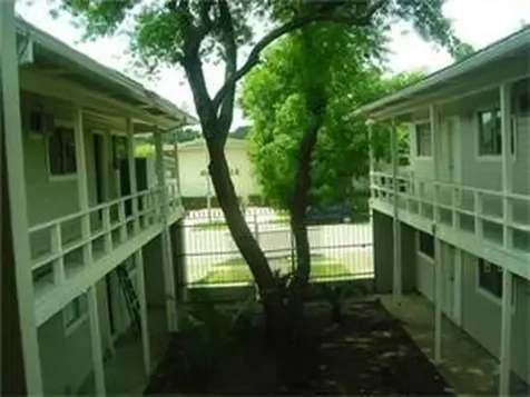 205 Avondale Street 5 Houston TX 77006
