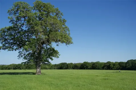 Tbd St Delight Tract 1 Paige TX 78659