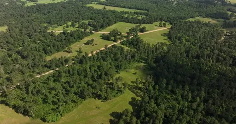 2268 S Fm 1486 Montgomery TX 77316