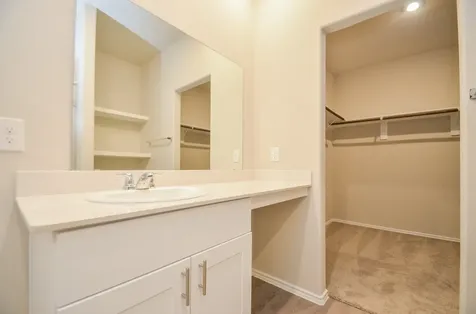25513 Blossom Court Montgomery TX 77316