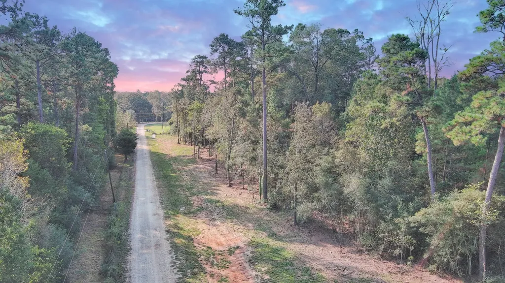Lot 10 Gregory Lane New Waverly TX 77358