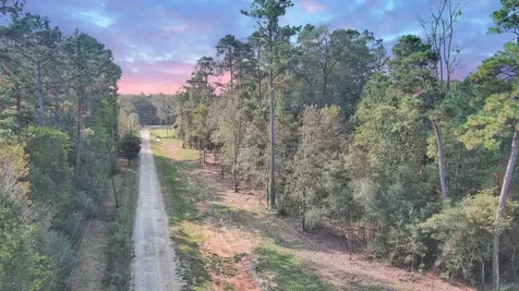 Lot 10 Gregory Lane New Waverly TX 77358