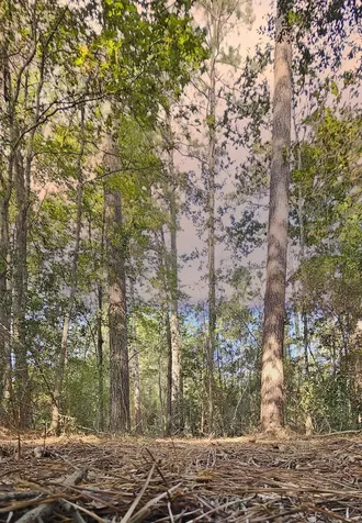 Lot 10 Gregory Lane New Waverly TX 77358