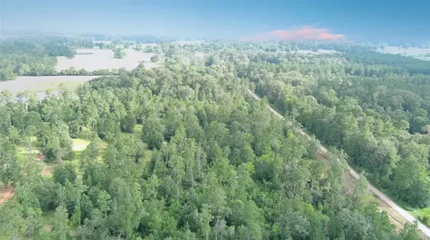 Lot 10 Gregory Lane New Waverly TX 77358