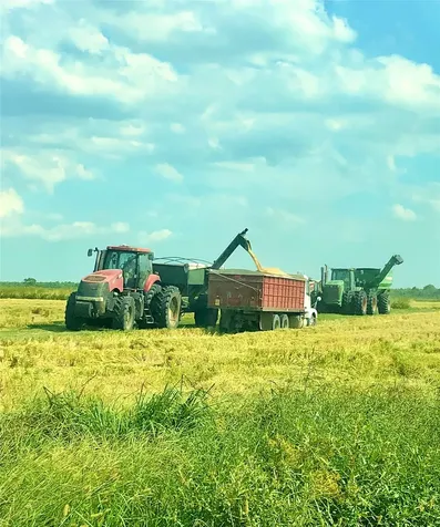 Tbd Hwy 65 And Fm 1724 Anahuac TX 77514