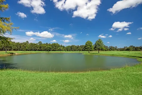 2020 Stallion Lakes Avenue Hockley TX 77447