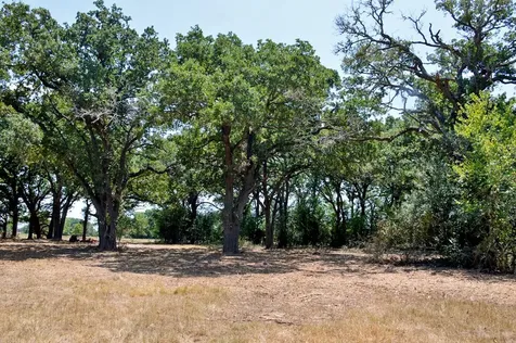Tbd 105 Fm 1227 Navasota TX 77868