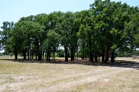 Tbd 105 Fm 1227 Navasota TX 77868