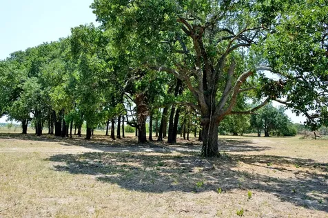 Tbd 105 Fm 1227 Navasota TX 77868