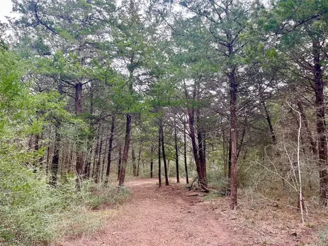 Tbd Hayek Road Columbus TX 78934