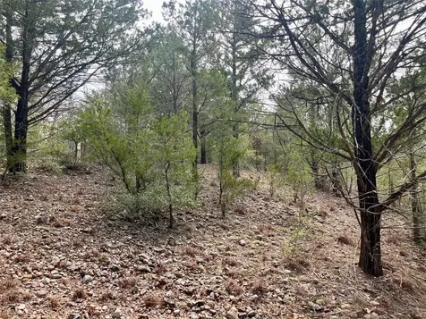 Tbd Hayek Road Columbus TX 78934