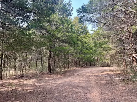 Tbd Hayek Road Columbus TX 78934