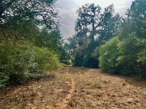 Tbd Hayek Road Columbus TX 78934