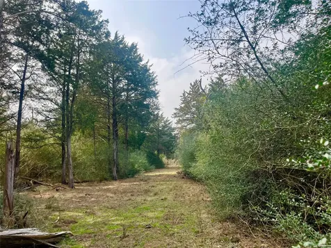 Tbd Hayek Road Columbus TX 78934