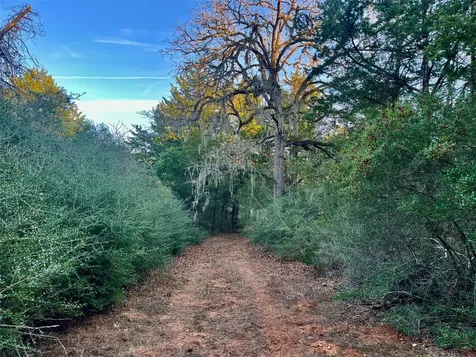 Tbd Hayek Road Columbus TX 78934