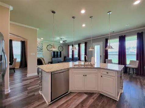 4239 Dalea Clover Lane Manvel TX 77578
