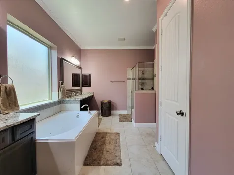 4239 Dalea Clover Lane Manvel TX 77578