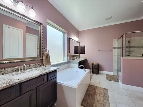 4239 Dalea Clover Lane Manvel TX 77578