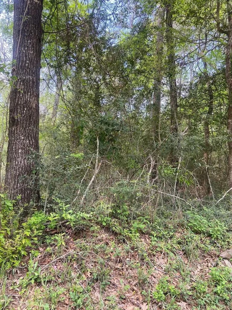 0 Friar Tuck Drive Shepherd TX 77371