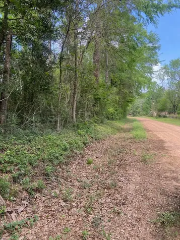 0 Friar Tuck Drive Shepherd TX 77371