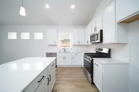 217 Catalina Cove Drive Katy TX 77493