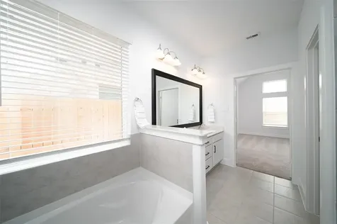 217 Catalina Cove Drive Katy TX 77493