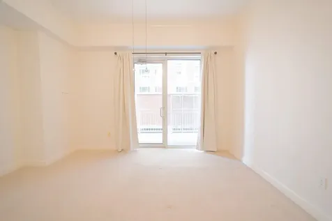 2520 Robinhood Street 505 Houston TX 77005