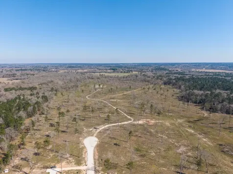 Lot 5 Johnson Drive Livingston TX 77351